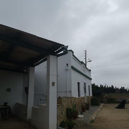 Casa Rural Masia D'En Gall L'Aldea Zewnętrze zdjęcie
