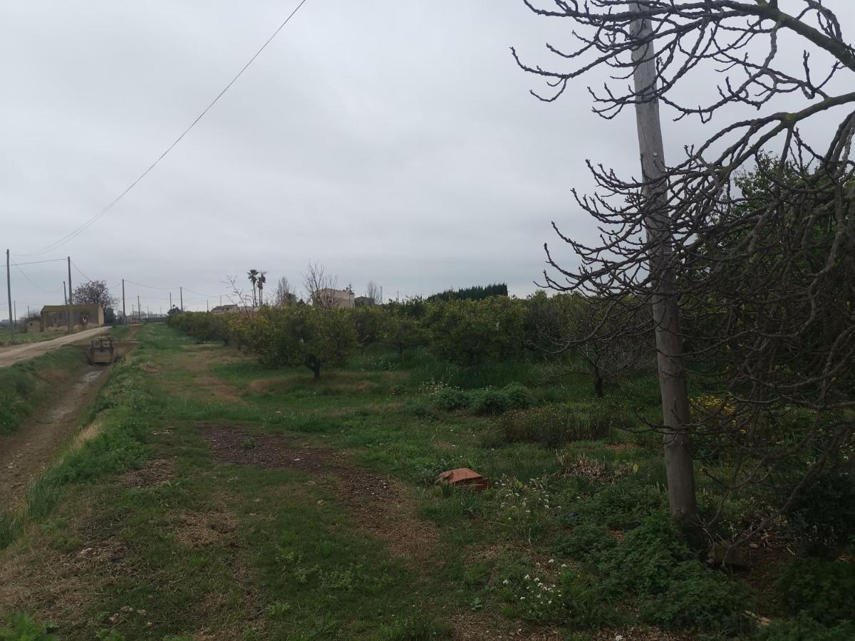Casa Rural Masia D'En Gall L'Aldea Zewnętrze zdjęcie