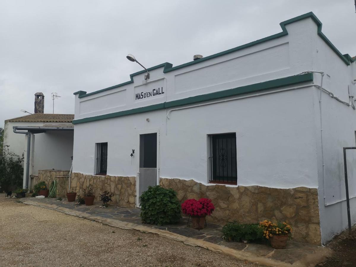 Casa Rural Masia D'En Gall L'Aldea Zewnętrze zdjęcie